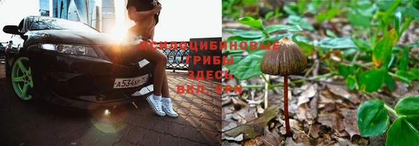 винт Аркадак