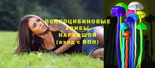 не бодяженный Арсеньев