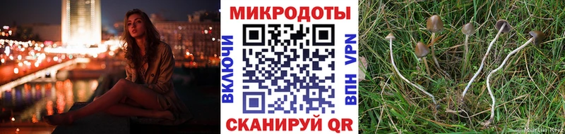 Галлюциногенные грибы мицелий  shop состав  Усолье-Сибирское  блэк спрут рабочий сайт 